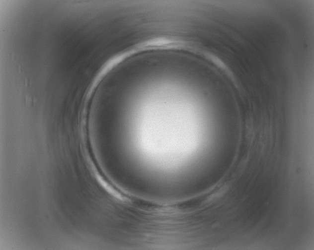 X0000082931421200702011228
