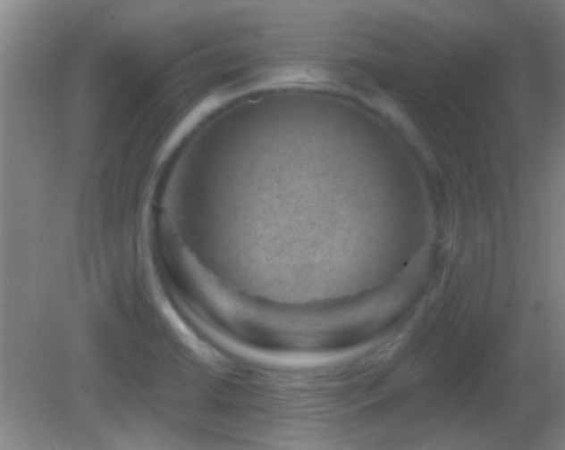 X0000082931422200702011228