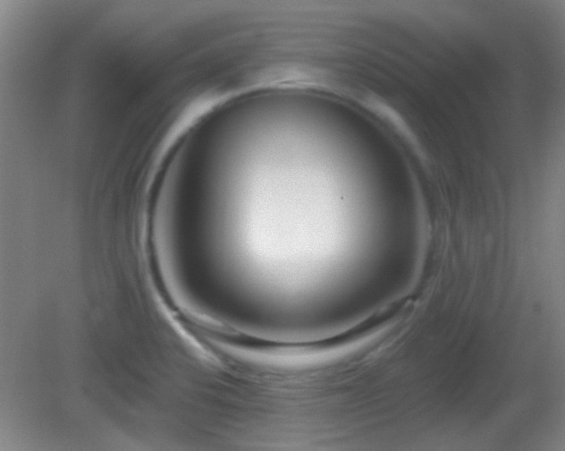 X0000082931424200702011228