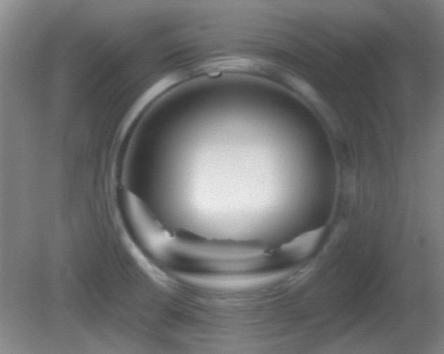 X0000082931426200702011228