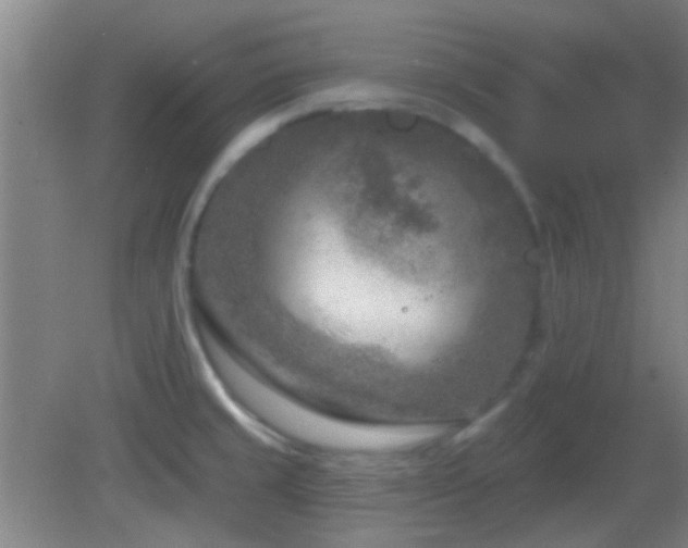 X0000082931429200702011228