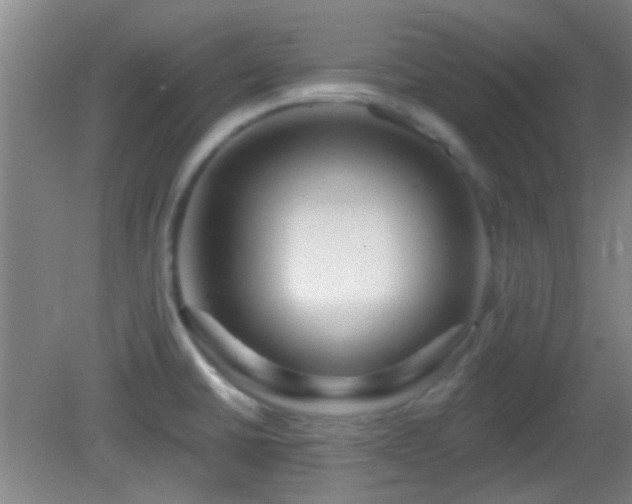 X0000082931430200702011228