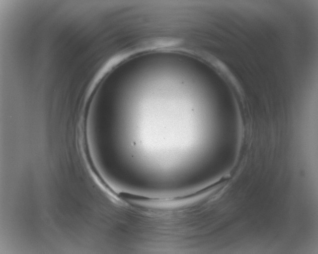 X0000082931432200702011228