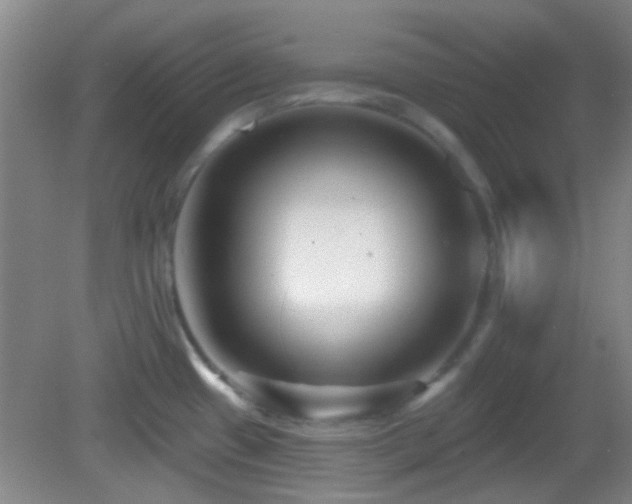X0000082931433200702011228