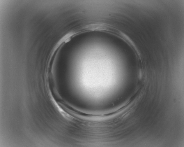 X0000082931434200702011228