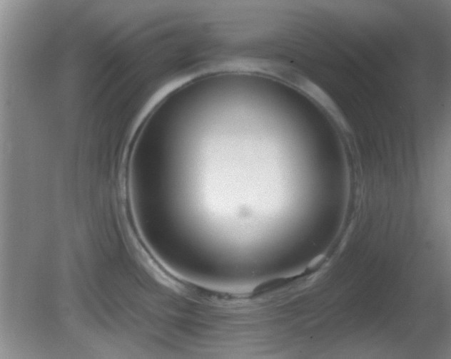 X0000082931436200702011228