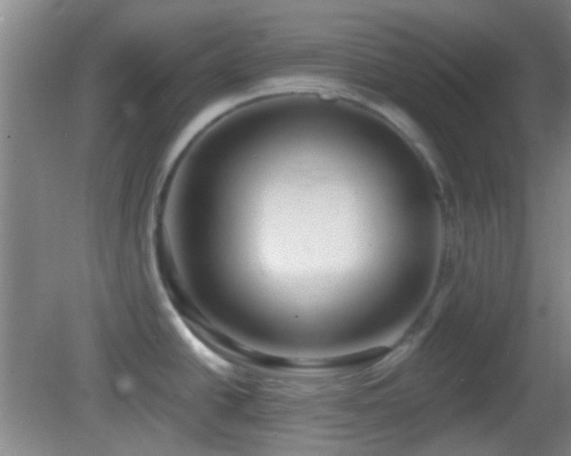 X0000082931438200702011228