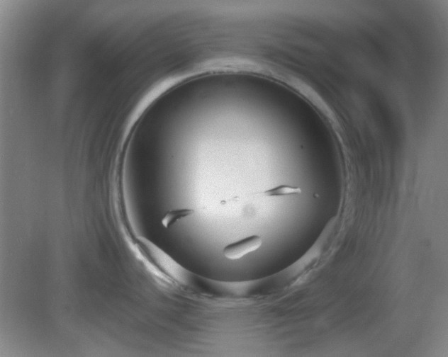 X0000082931440200702011228