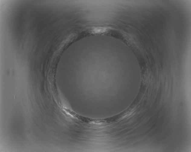 X0000082931441200702011227