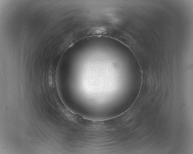 X0000082931442200702011227