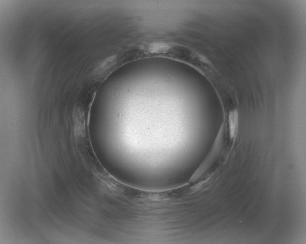 X0000082931443200702011227