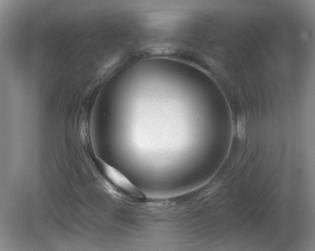 X0000082931444200702011227