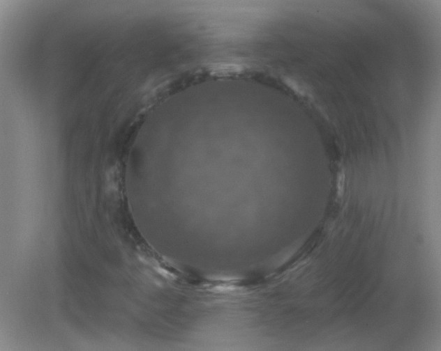 X0000082931445200702011227