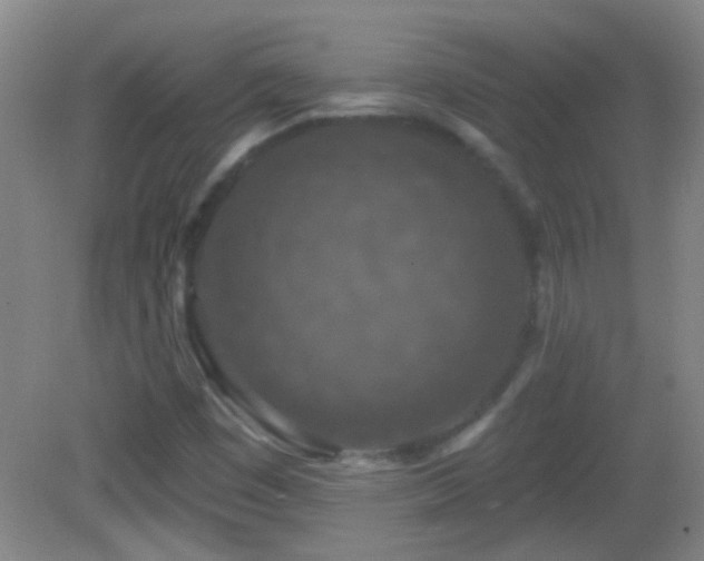 X0000082931449200702011227