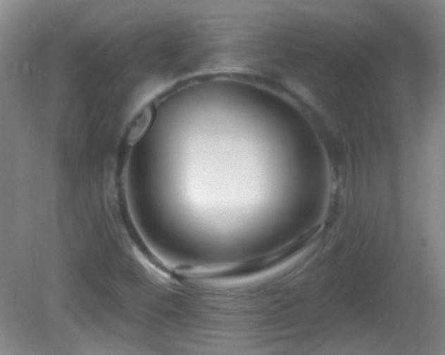 X0000082931452200702011227