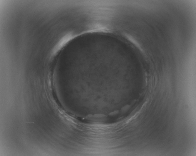 X0000082931455200702011227