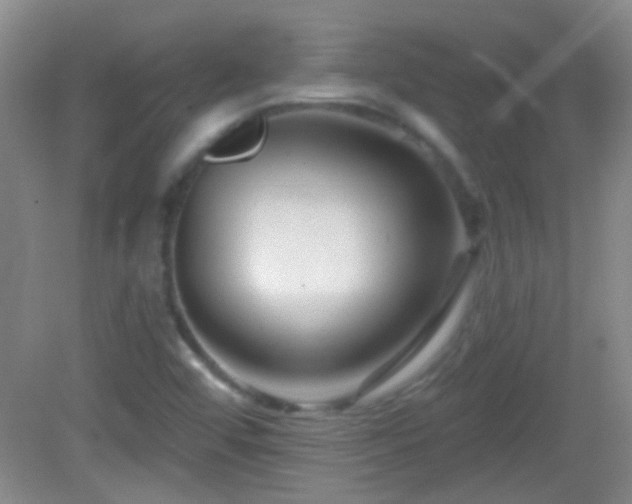 X0000082931456200702011227