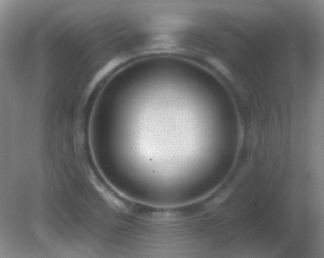 X0000082931458200702011227