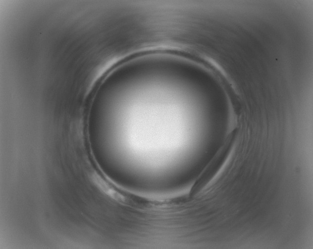 X0000082931460200702011227