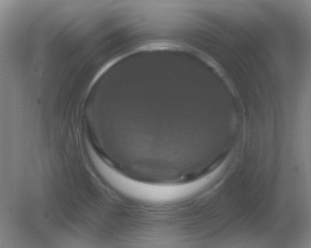 X0000082931465200702011227