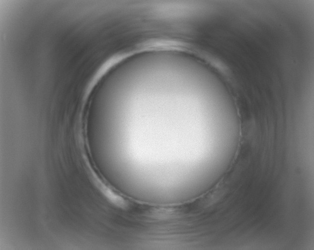 X0000082931470200702011227