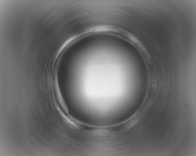 X0000082931473200702011227