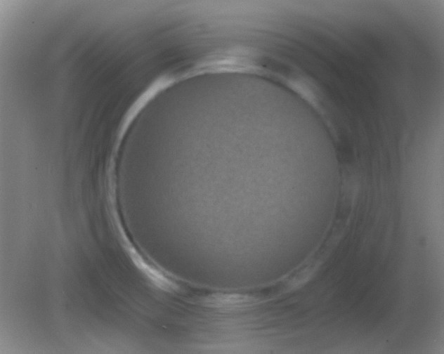 X0000082931474200702011227