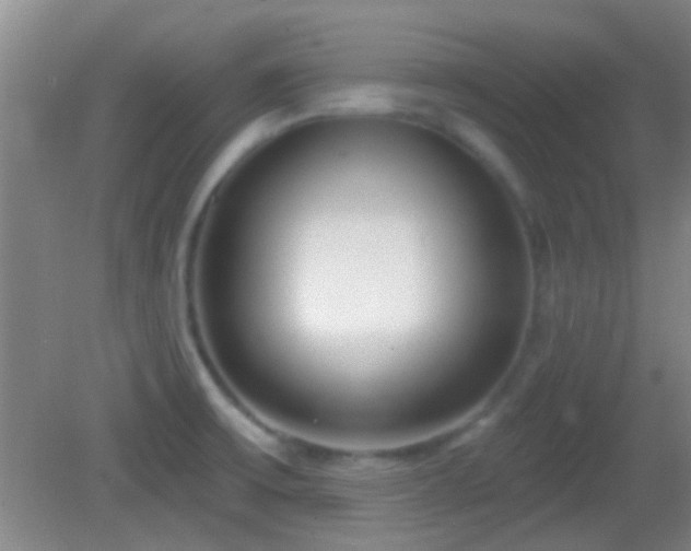 X0000082931475200702011227