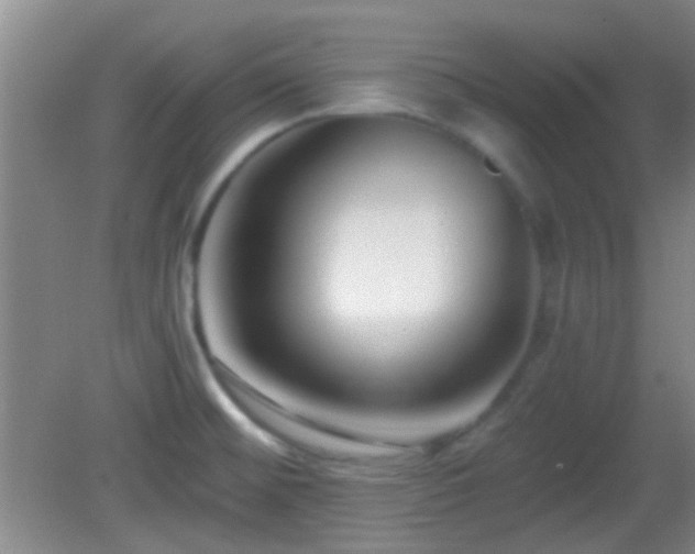X0000082931476200702011227