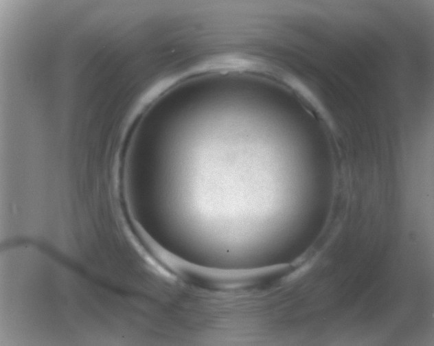 X0000082931477200702011227