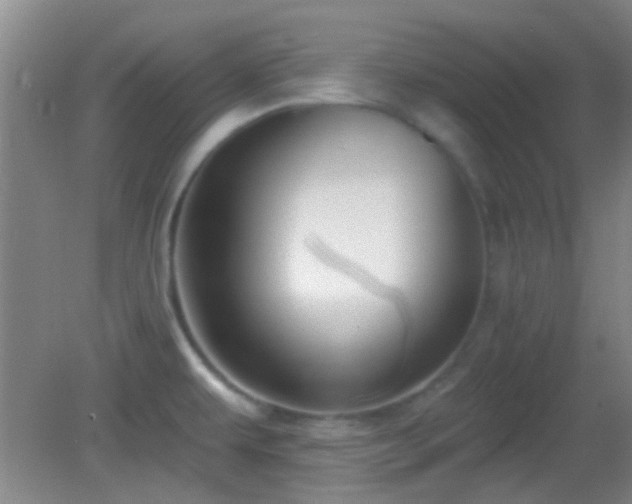 X0000082931479200702011227