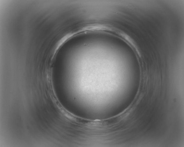 X0000082931481200702011227