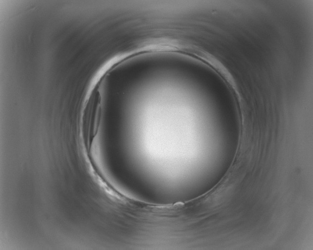 X0000082931488200702011227