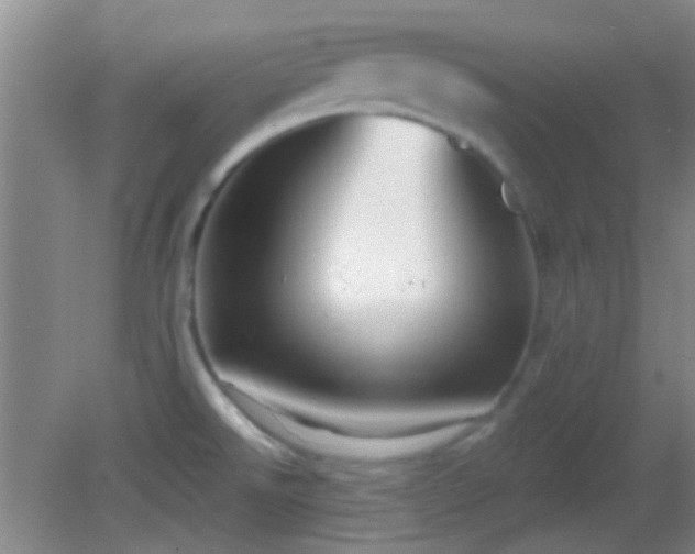 X0000082931526200702011227