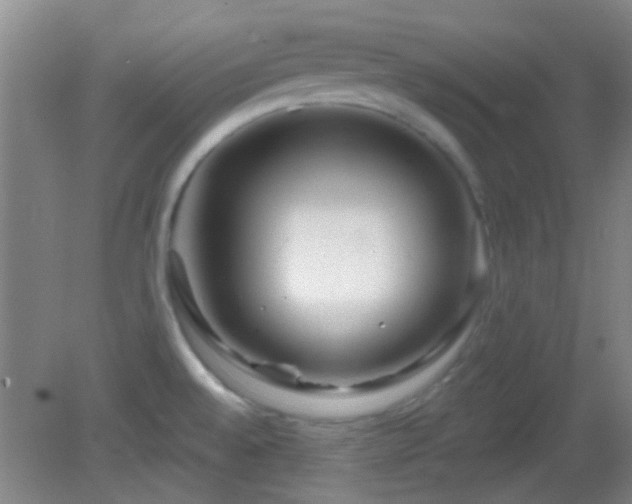 X0000082931528200702011227