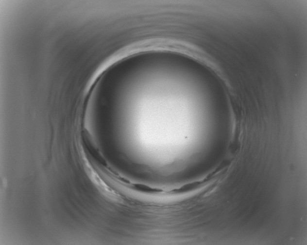 X0000082931530200702011227