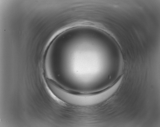 X0000082931531200702011227