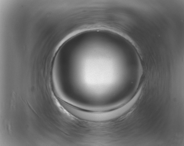 X0000082931534200702011227