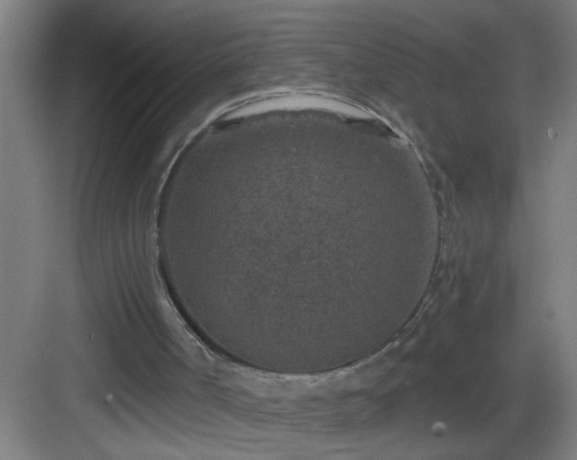 X0000082930002200702081553