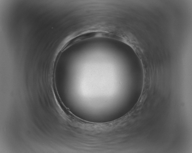 X0000082930003200702081553