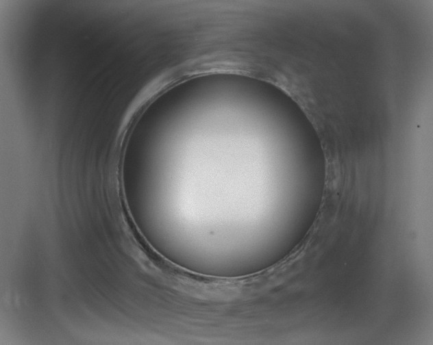 X0000082930004200702081553