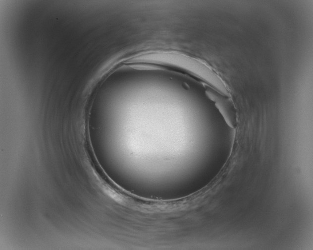 X0000082930005200702081553