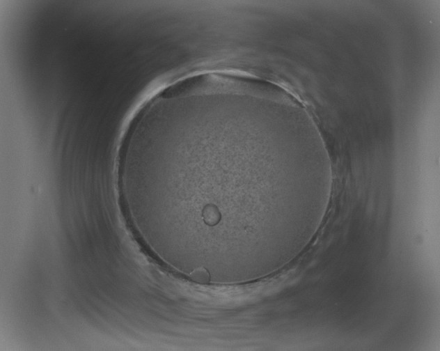 X0000082930006200702081553