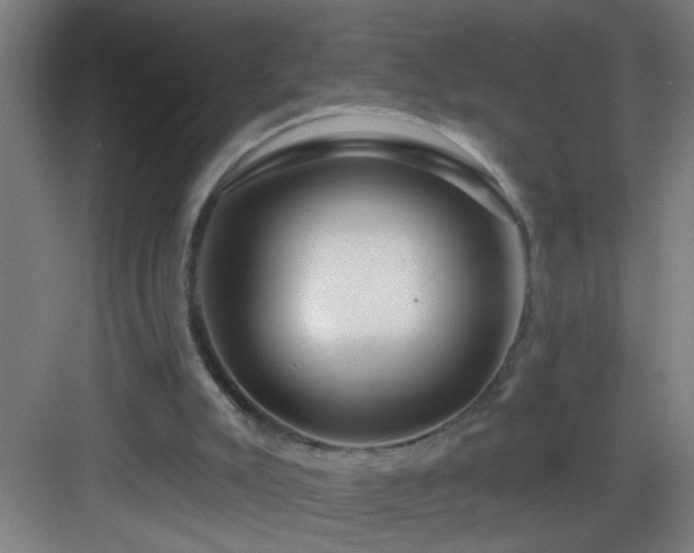 X0000082930007200702081553