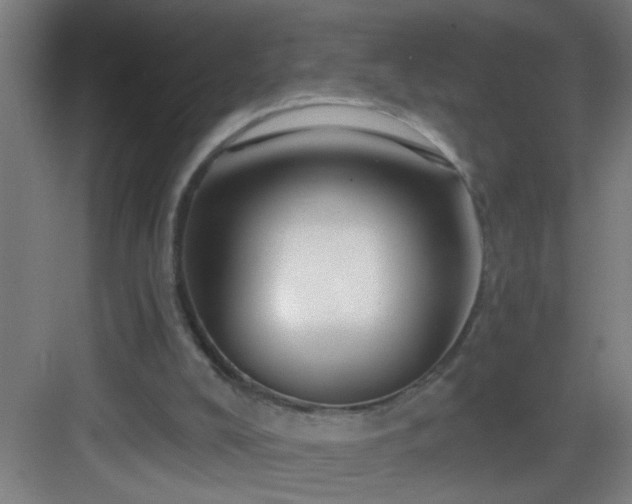 X0000082930008200702081553