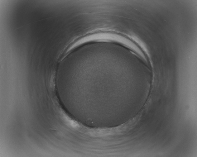 X0000082930009200702081553