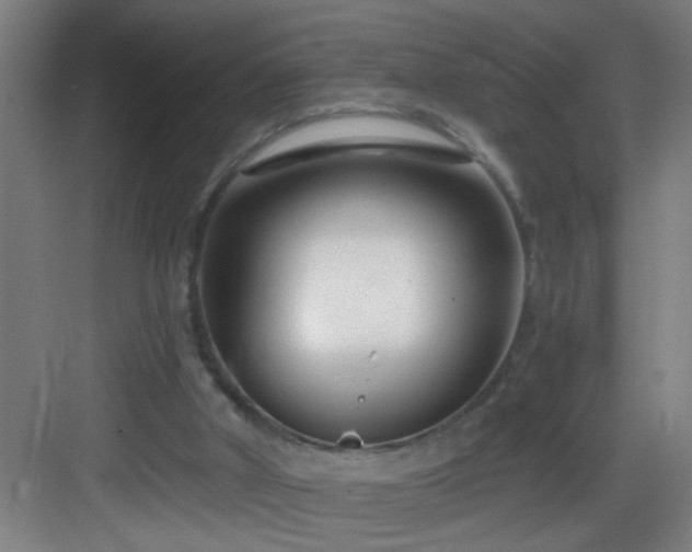 X0000082930010200702081553