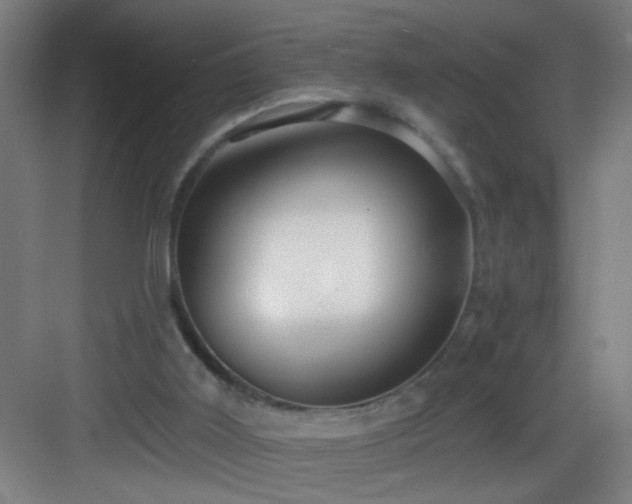 X0000082930011200702081553