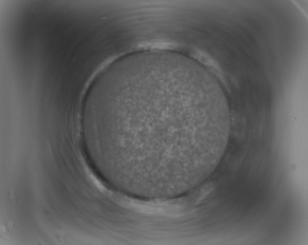 X0000082930012200702081553