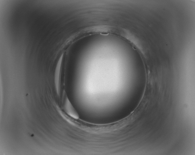 X0000082930013200702081553